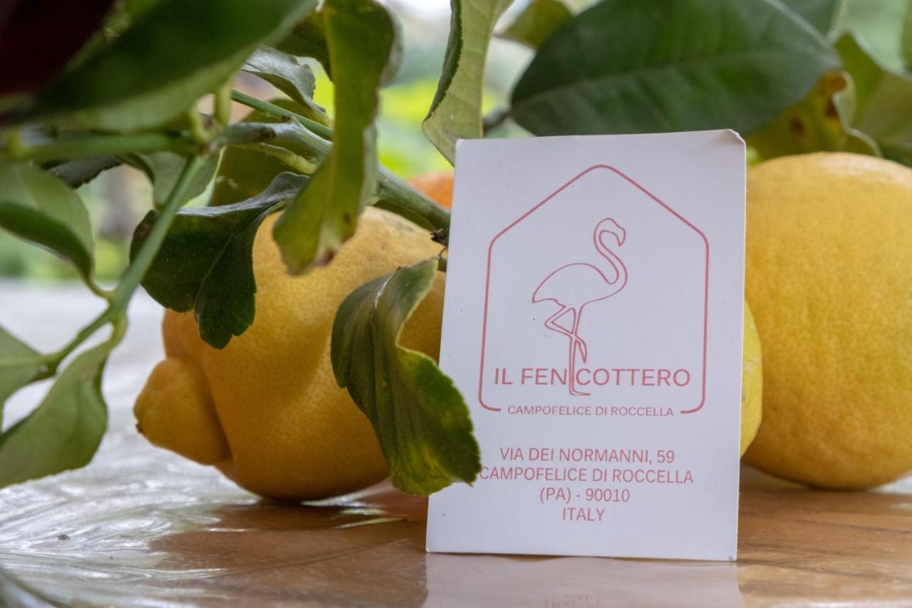 Il Fenicottero Guest House 坎波菲利斯·迪·罗切 外观 照片